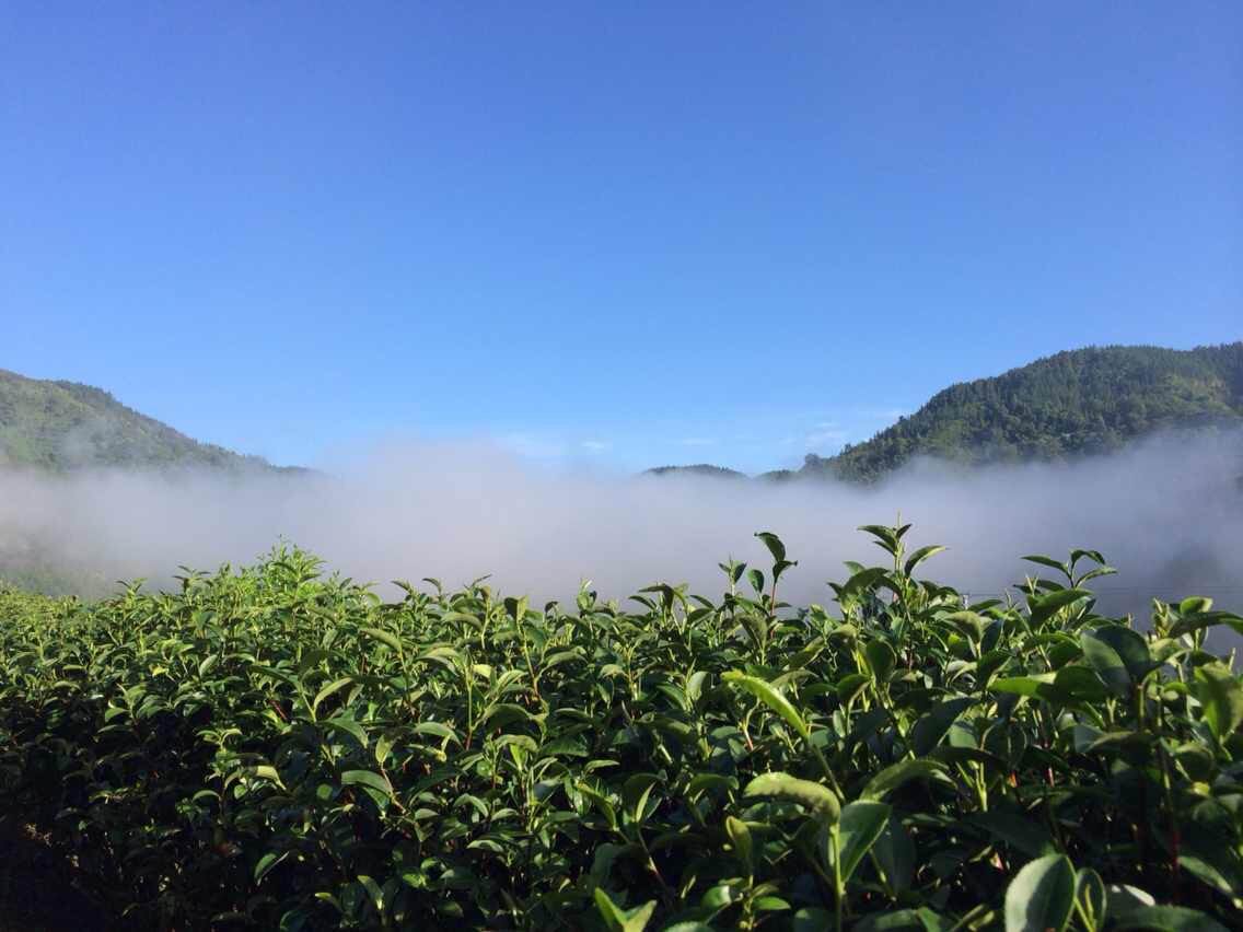 爱心商城