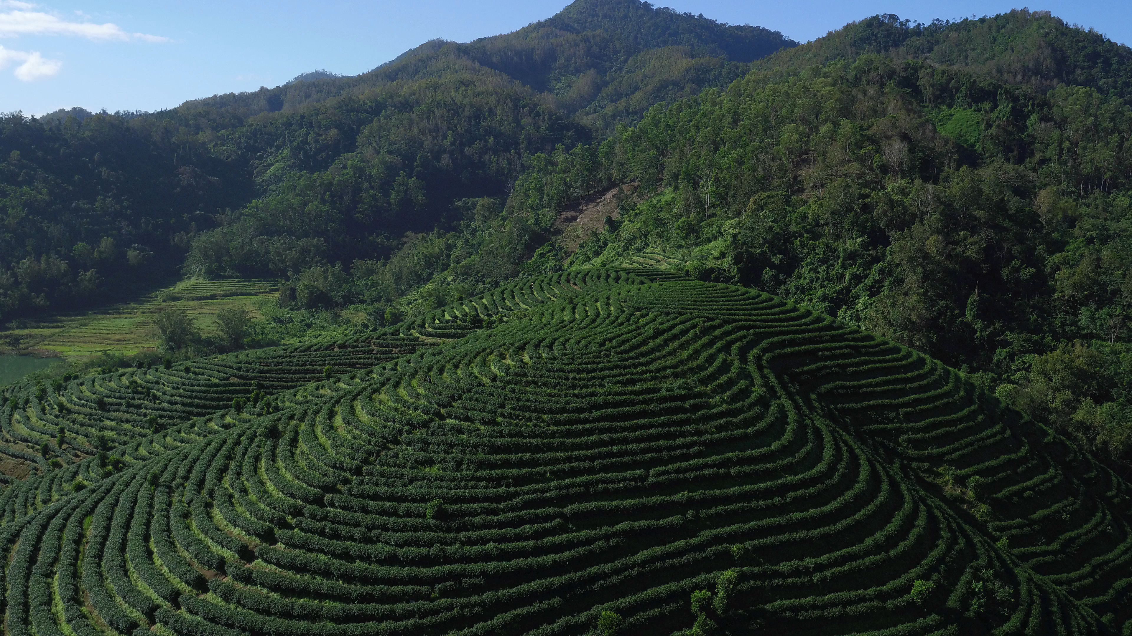 爱心商城