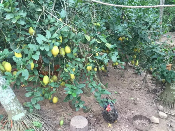 爱心商城