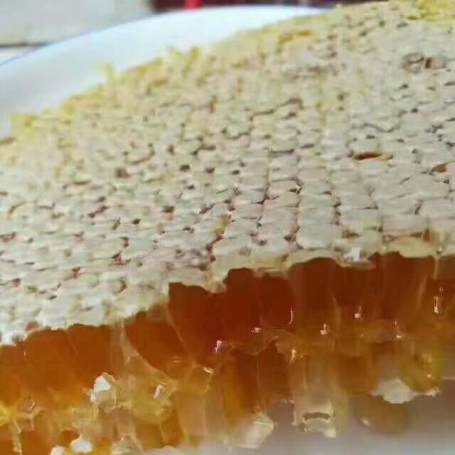 爱心商城