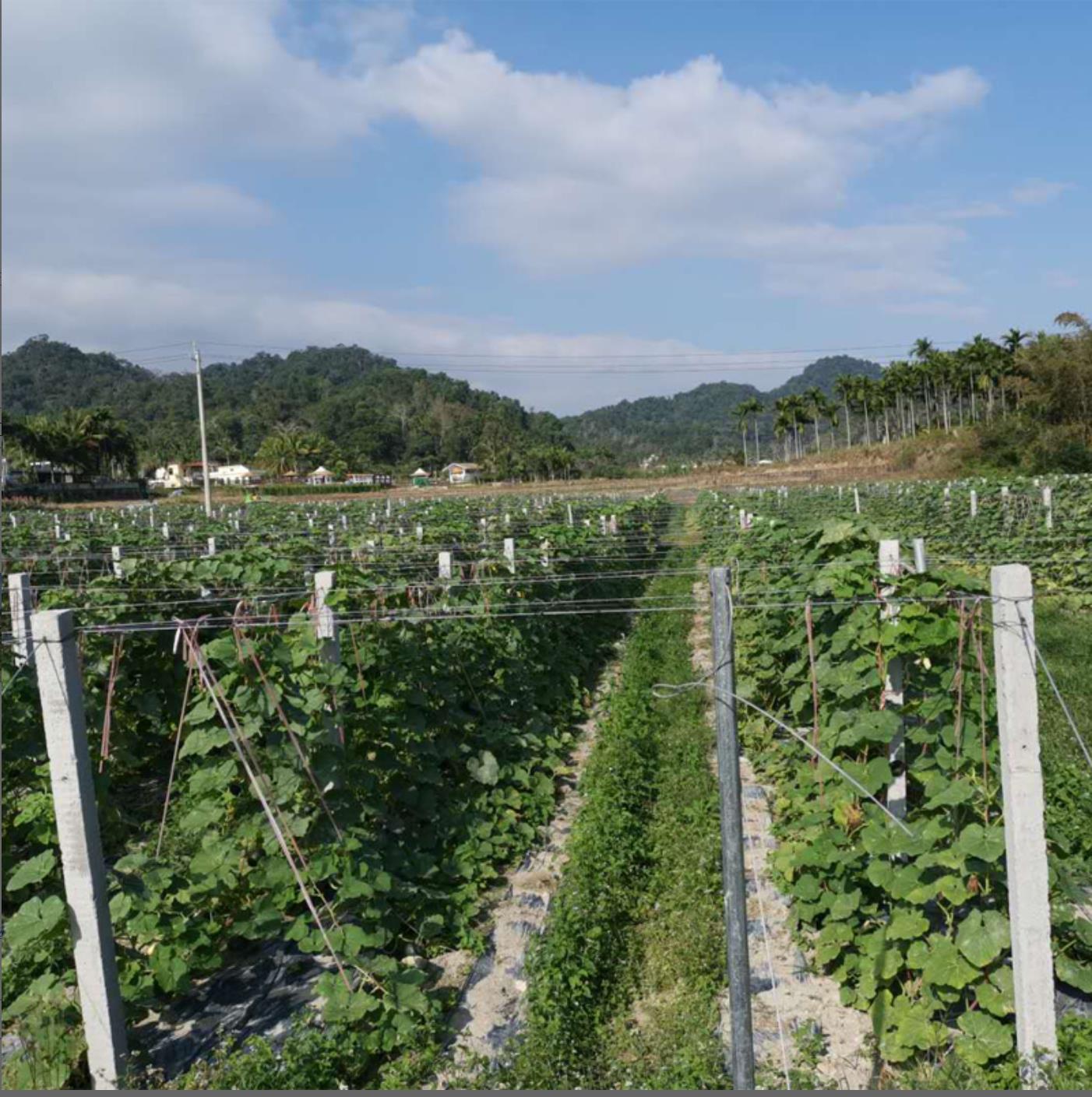 爱心商城