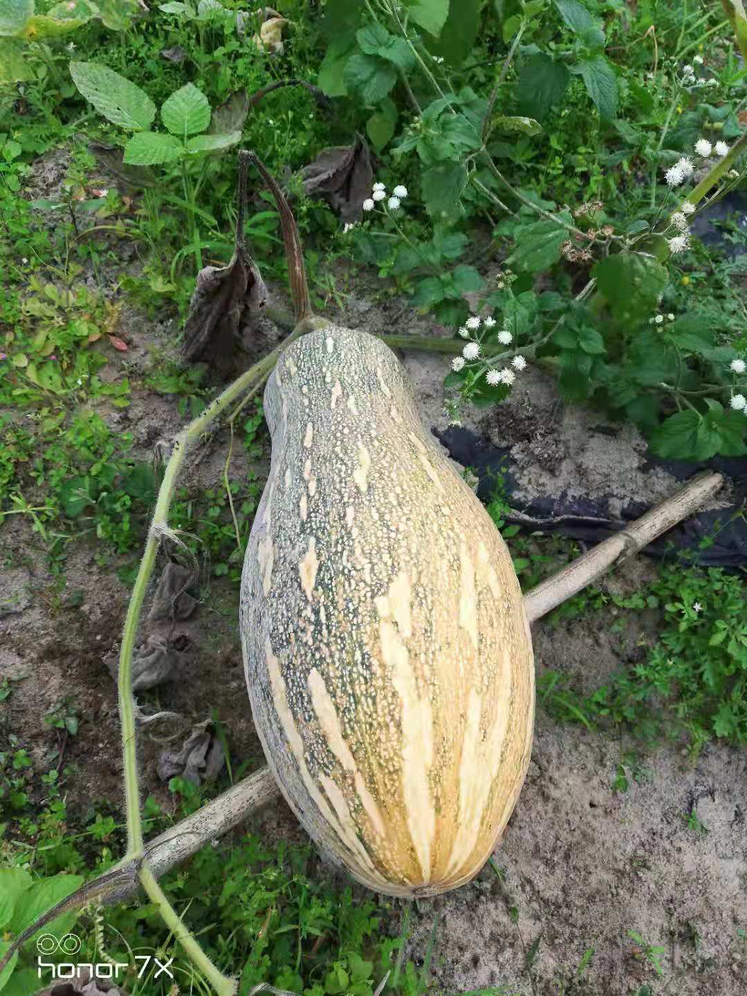 爱心商城