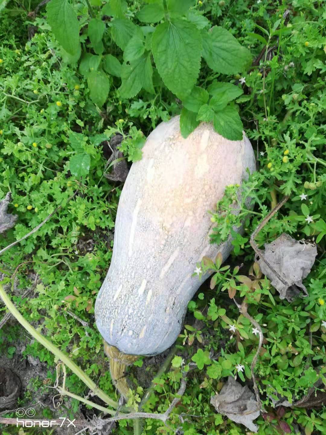 爱心商城