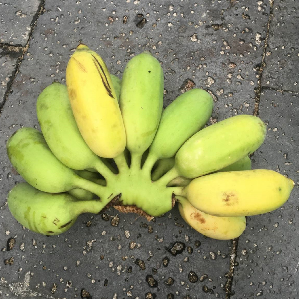 爱心商城