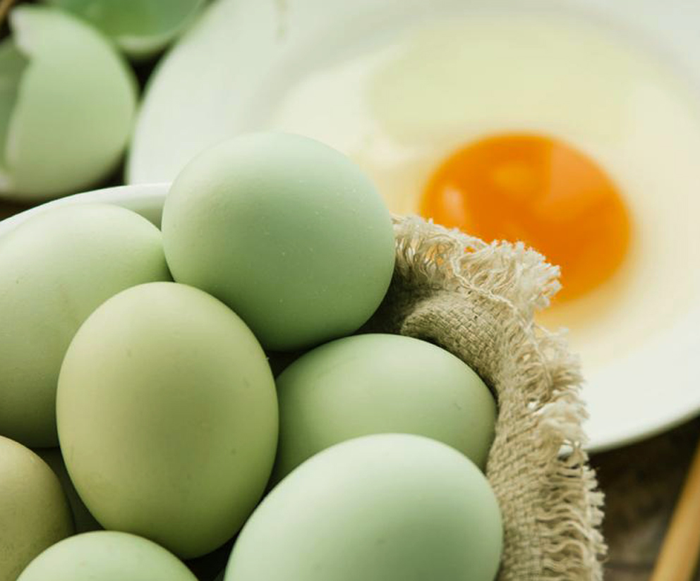 万宁尚圆味绿壳初生蛋买20枚送10枚尚圆种养专业合作社的扶贫产品