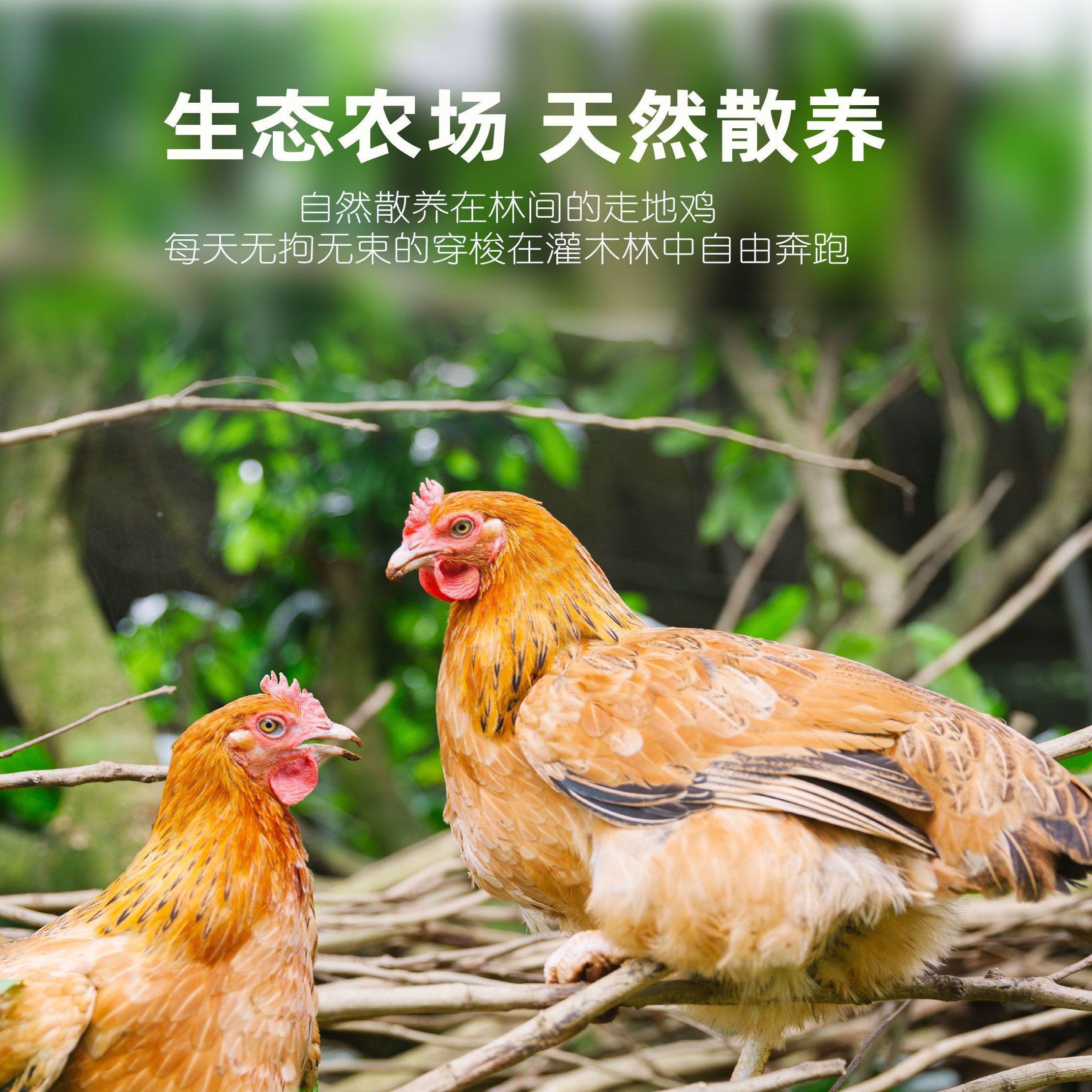 爱心商城