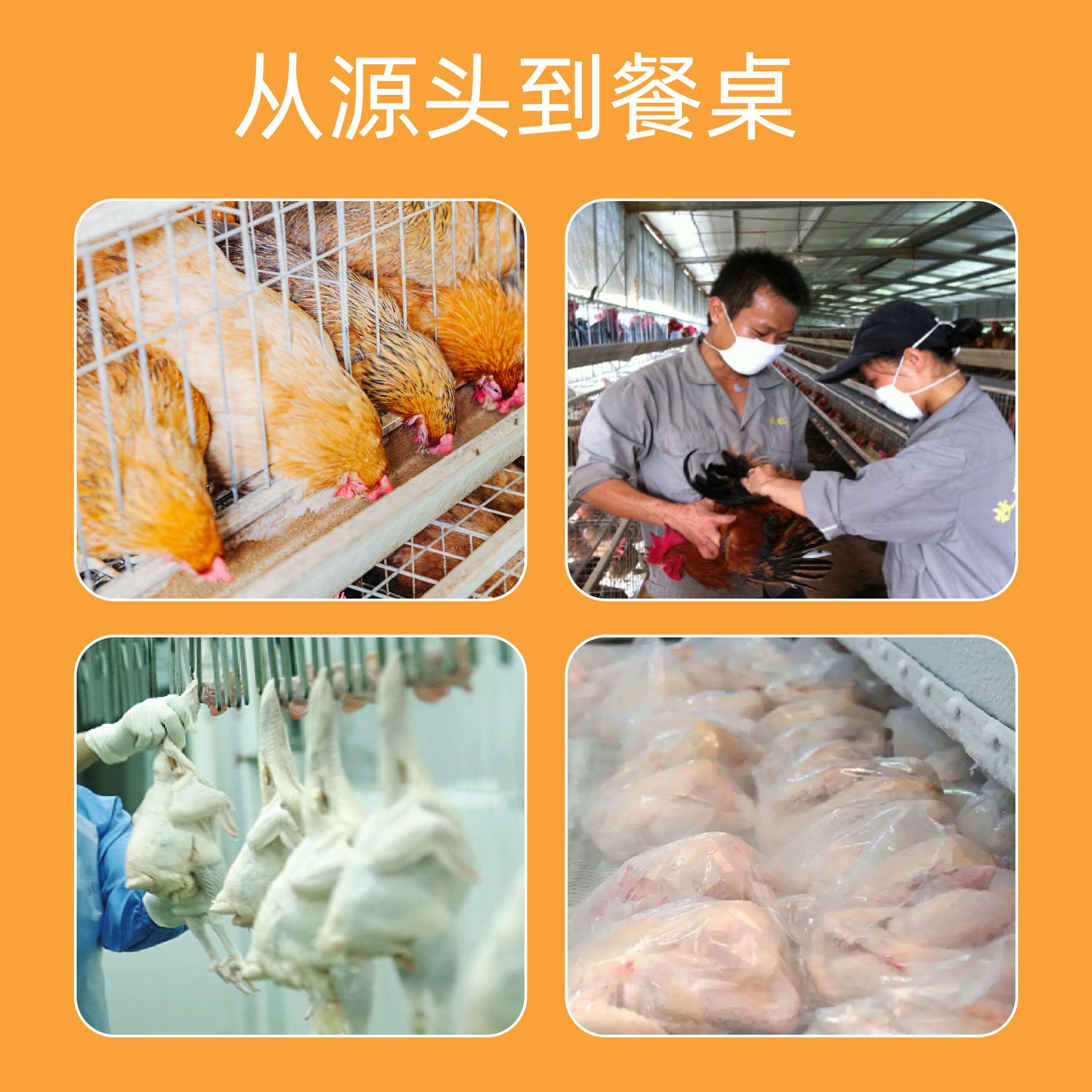 爱心商城