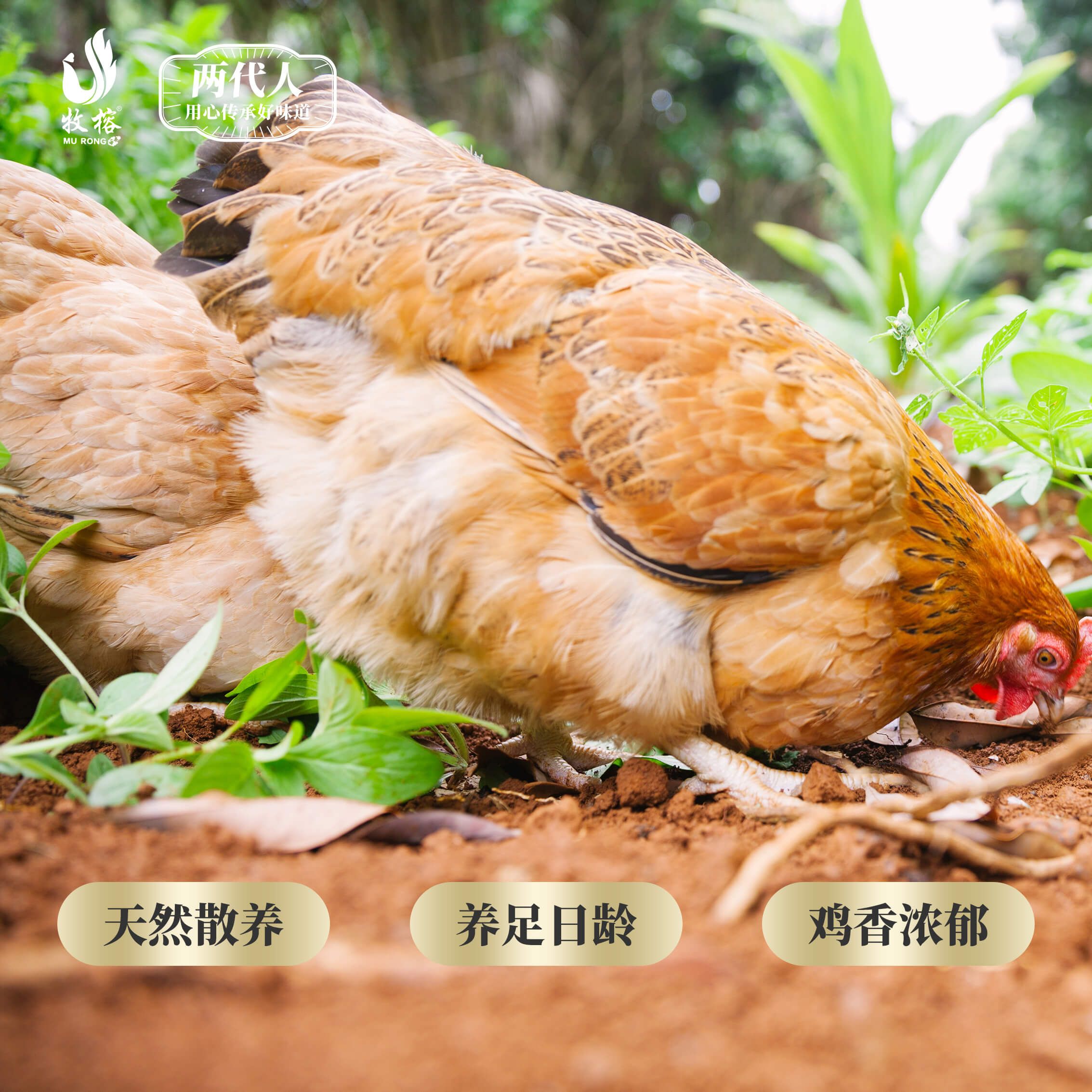 爱心商城