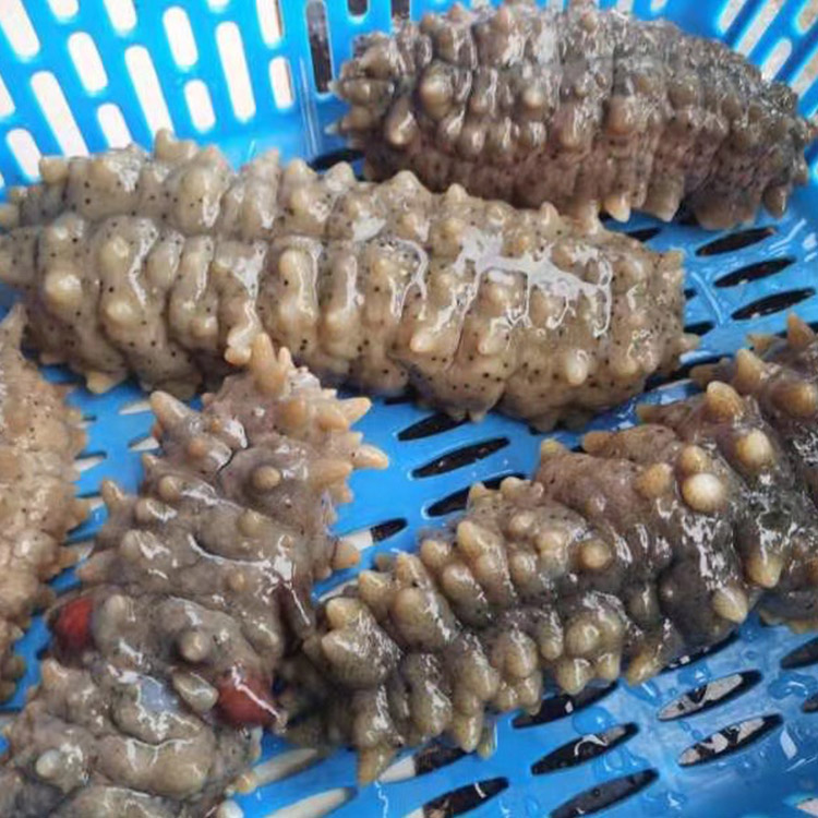 爱心商城