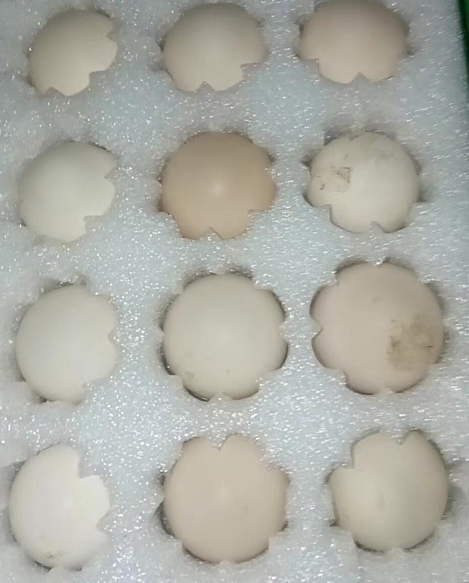 爱心商城