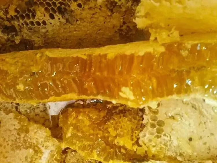爱心商城