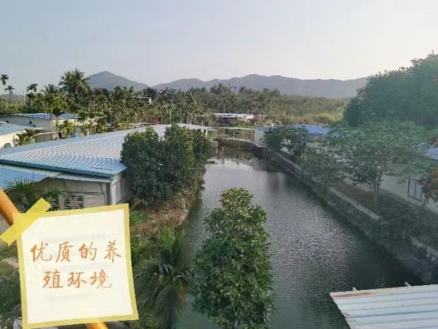 爱心商城