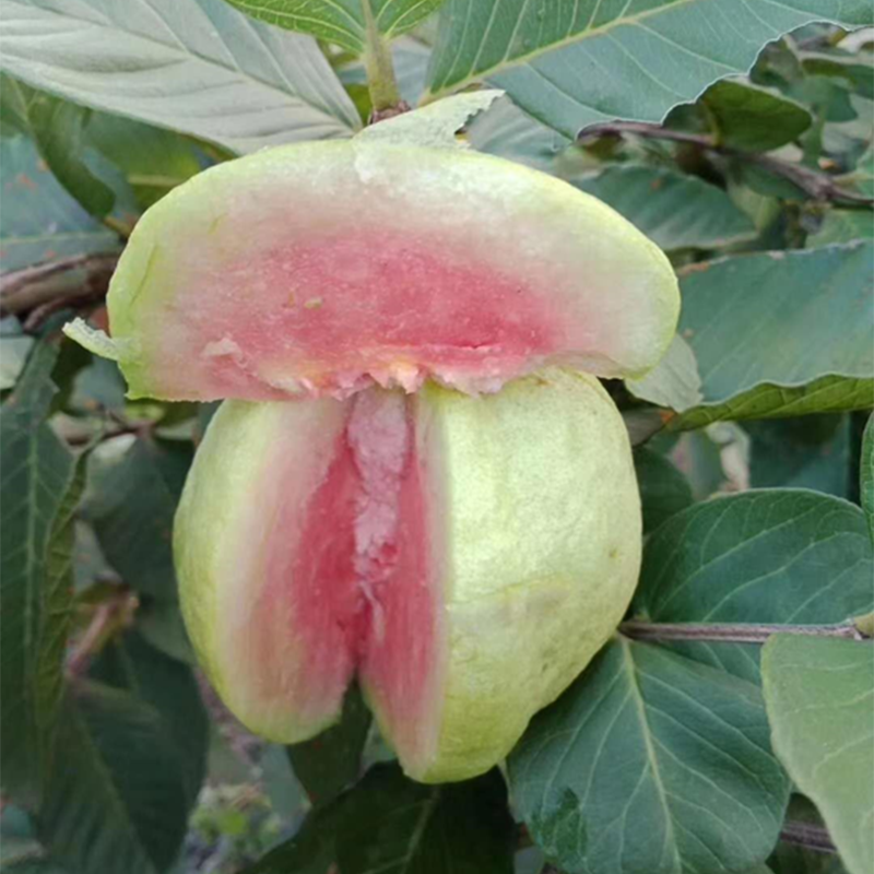 爱心商城