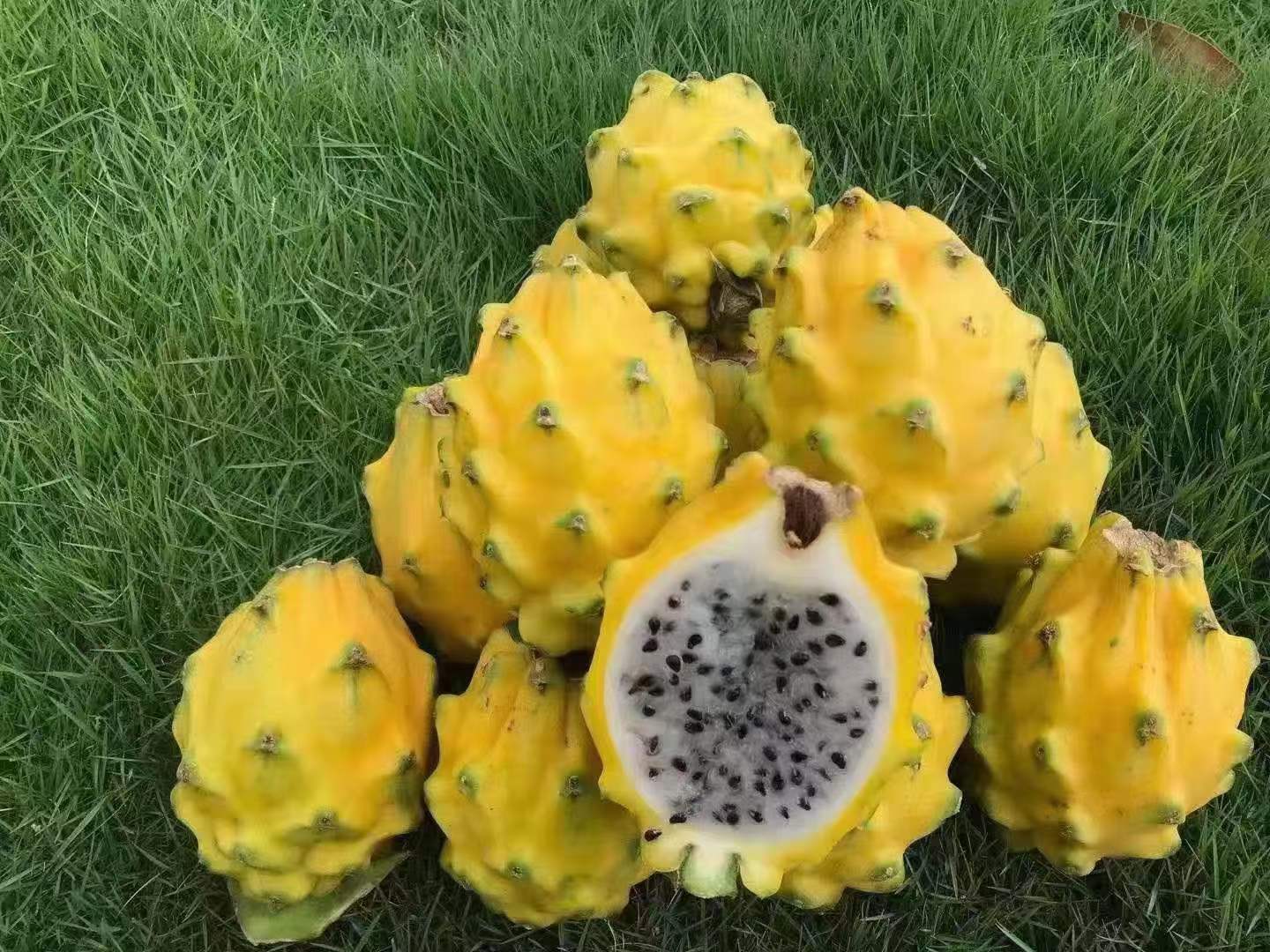 爱心商城