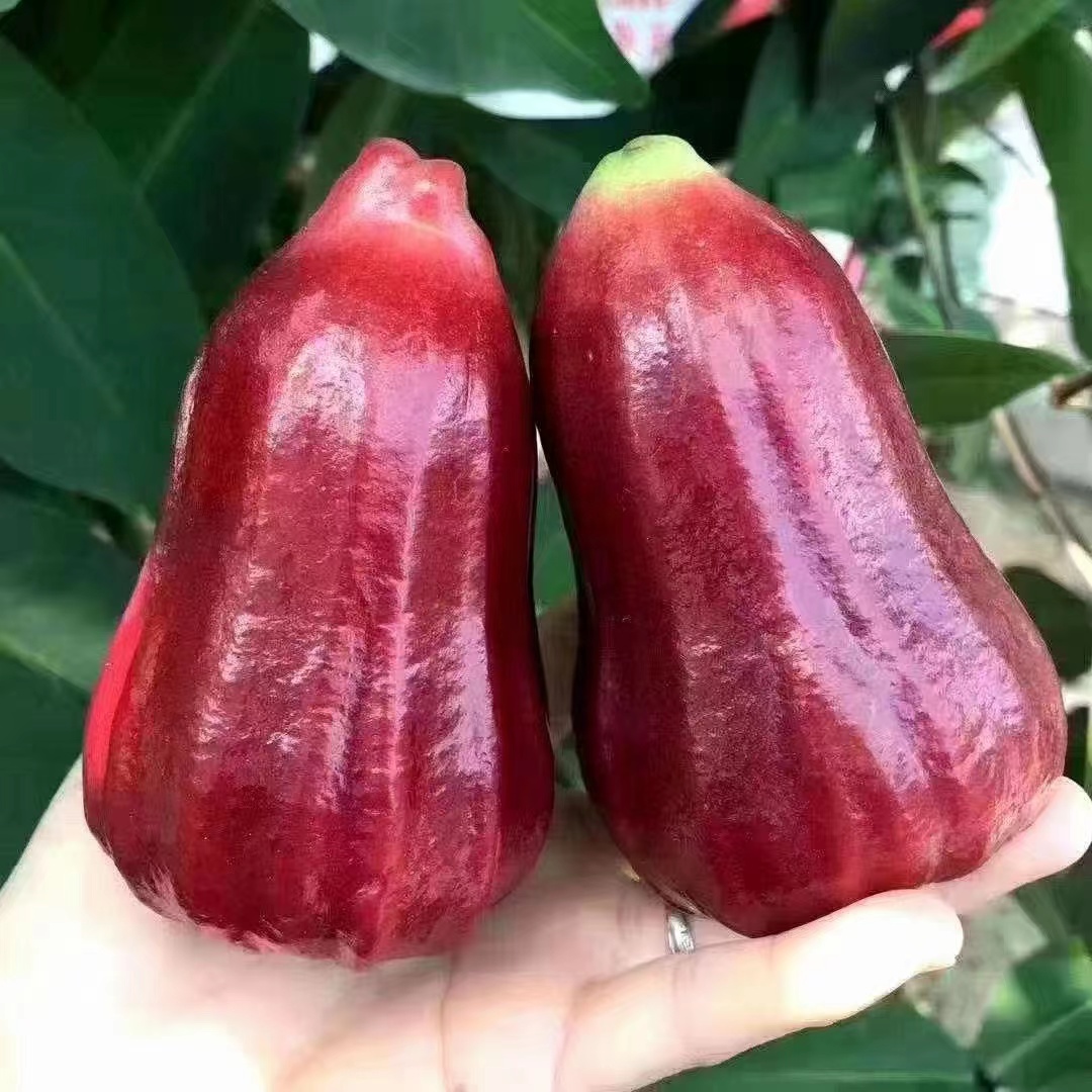 爱心商城