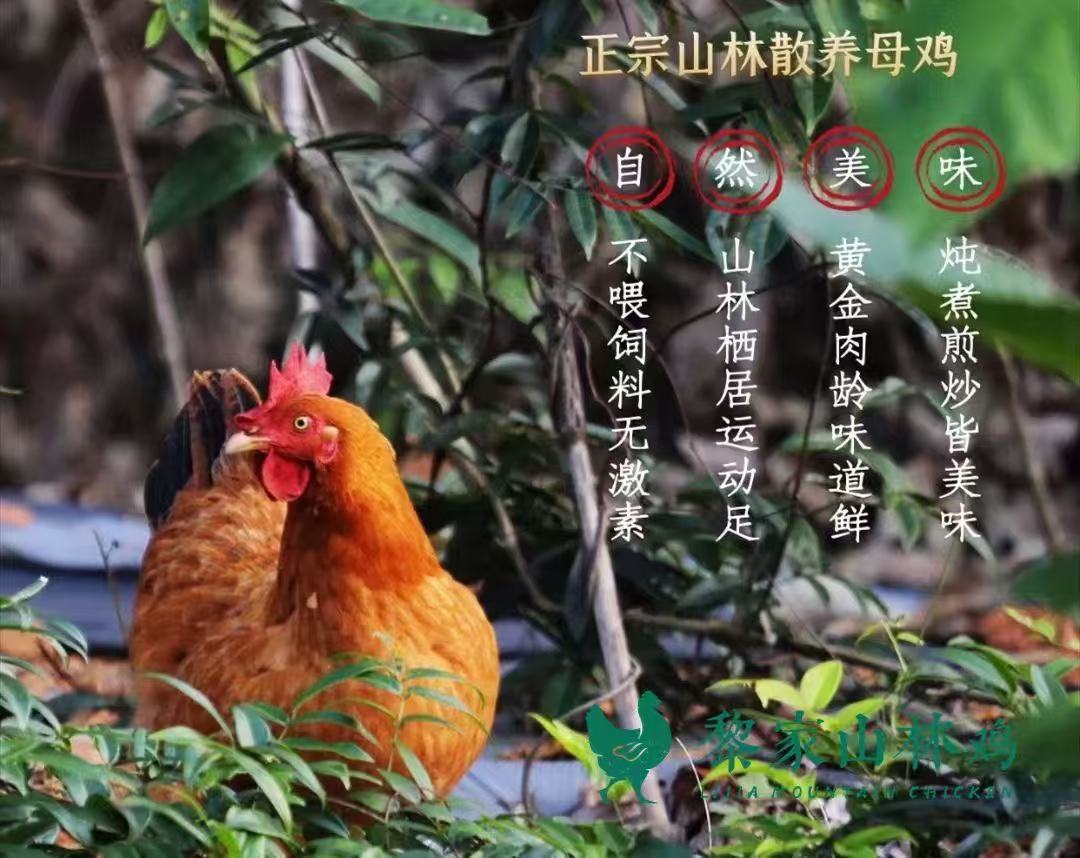 爱心商城