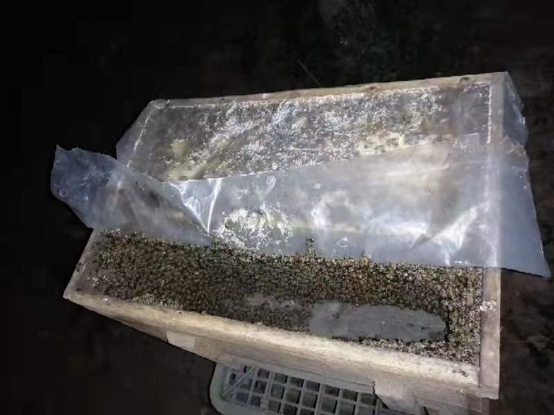 爱心商城