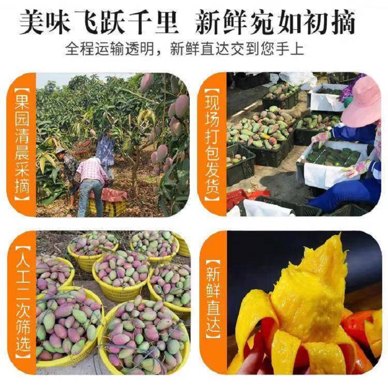爱心商城