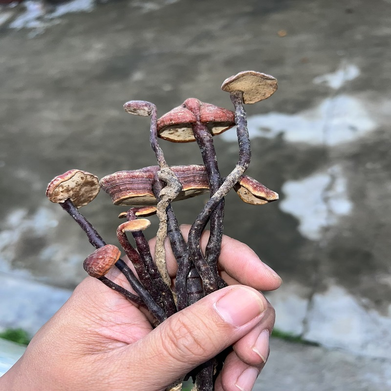 爱心商城