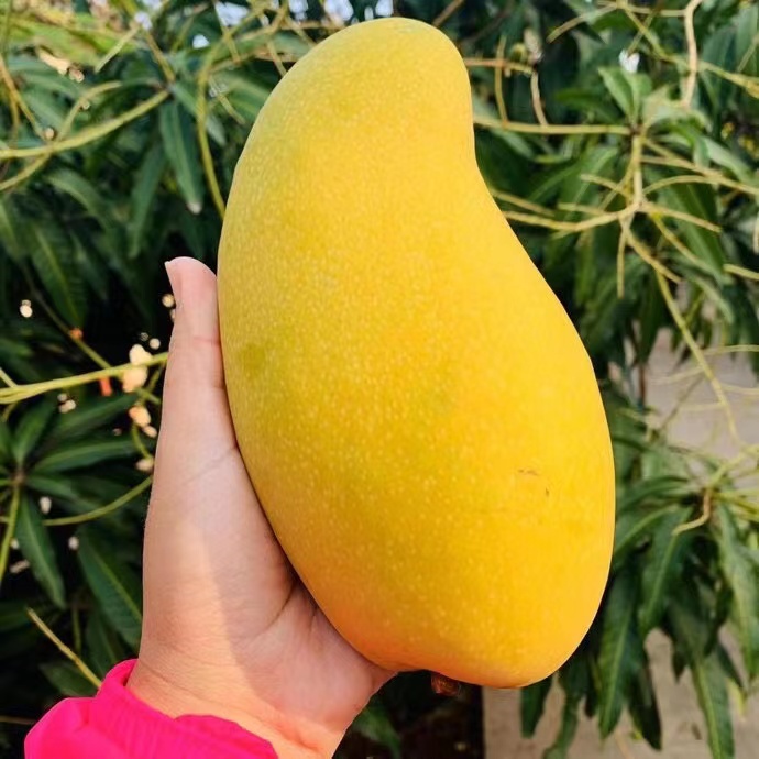 爱心商城