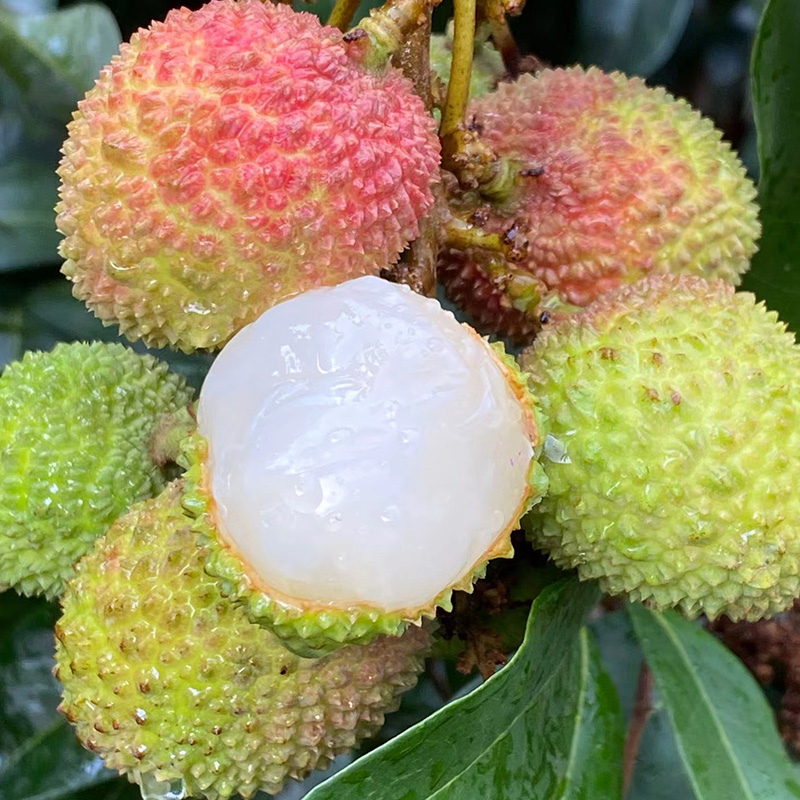 爱心商城
