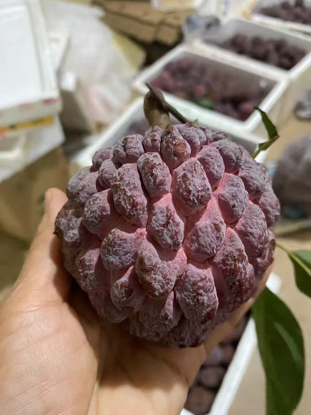 爱心商城