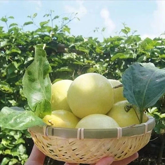 爱心商城