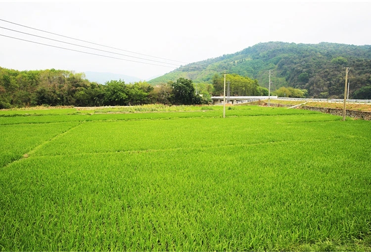 爱心商城