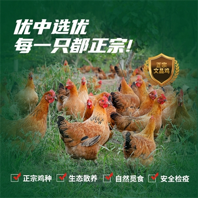 爱心商城
