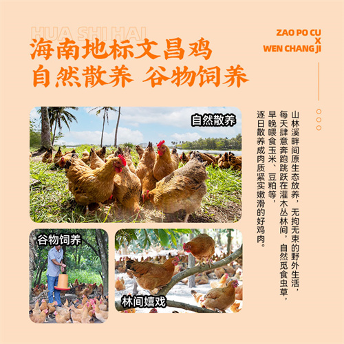 爱心商城