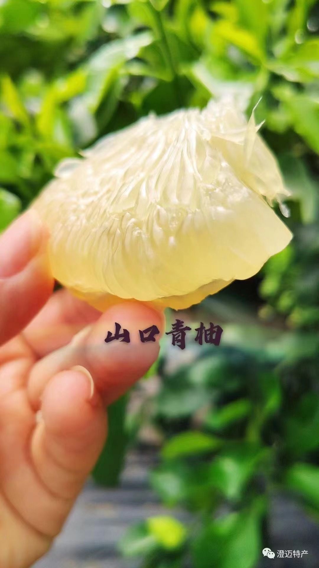 爱心商城