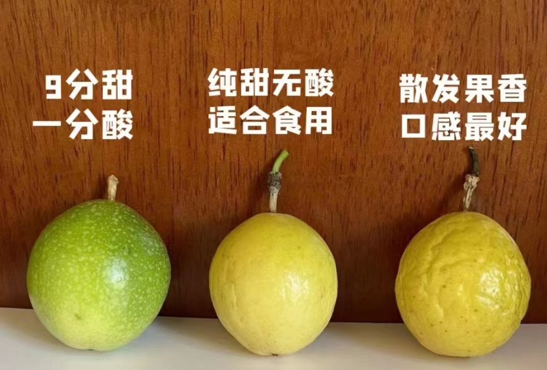 爱心商城