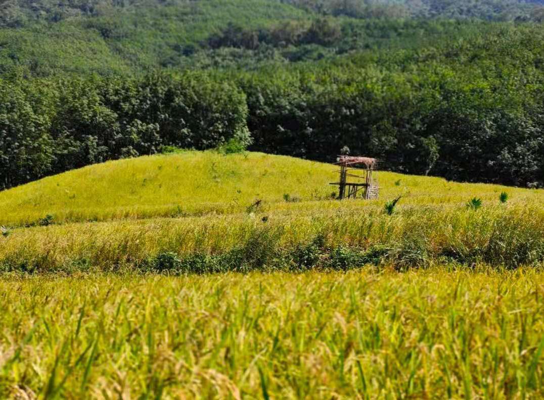 爱心商城
