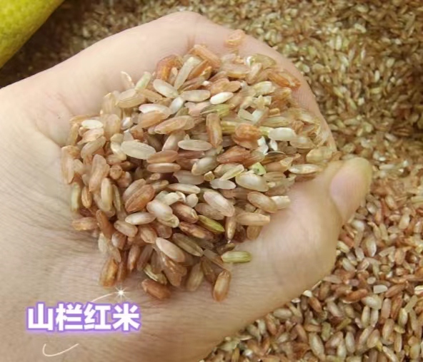 爱心商城