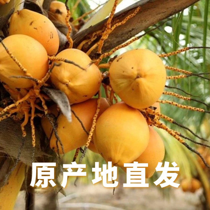 爱心商城