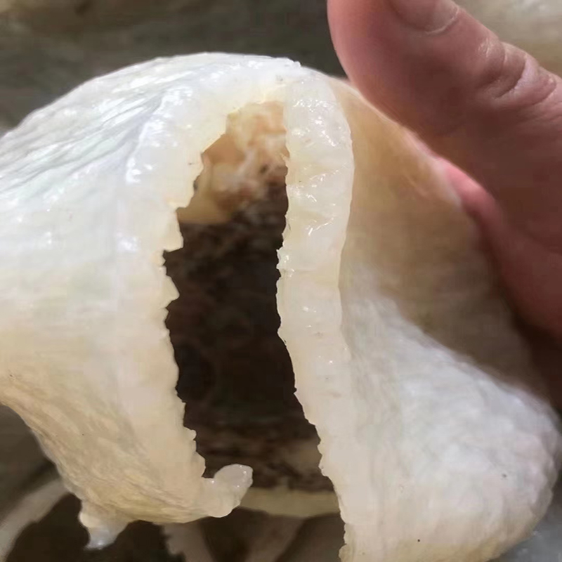爱心商城