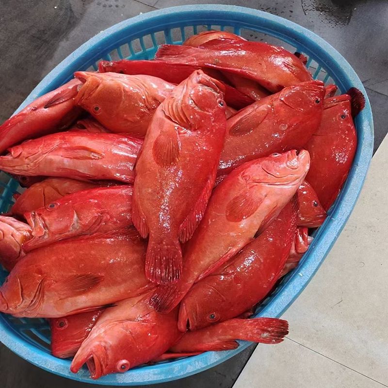 爱心商城