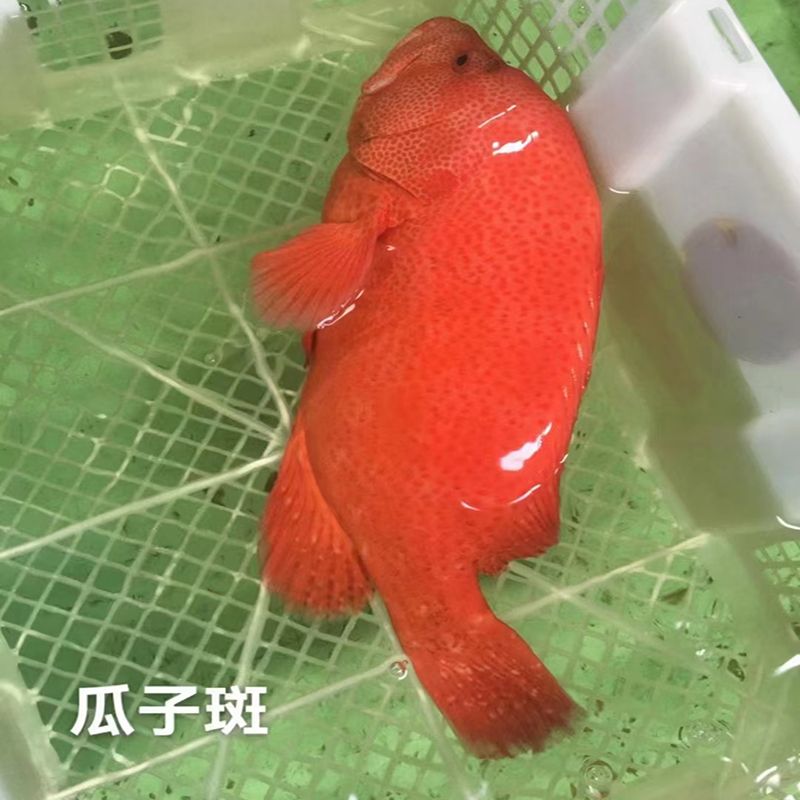 爱心商城