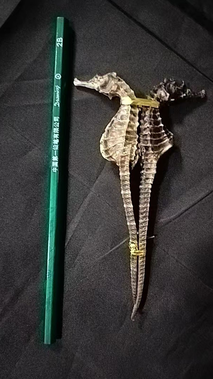 爱心商城