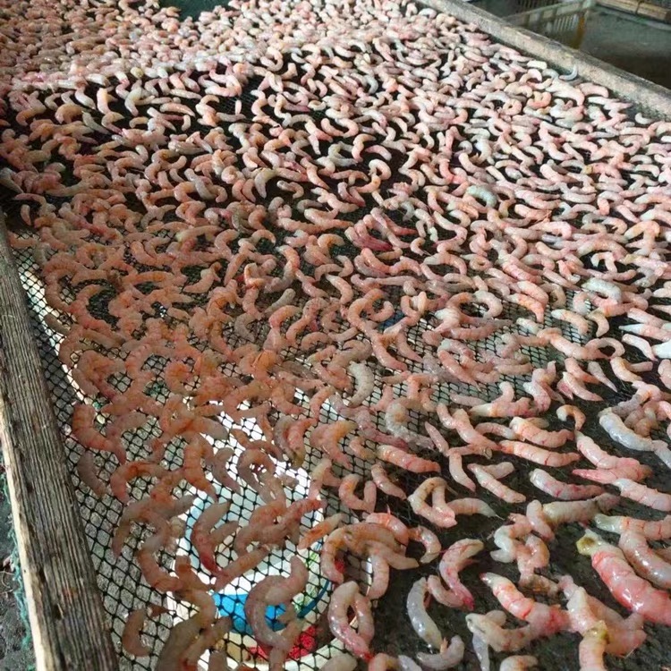 爱心商城