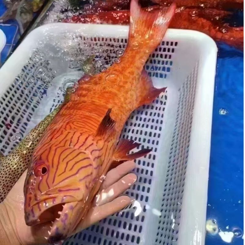 爱心商城