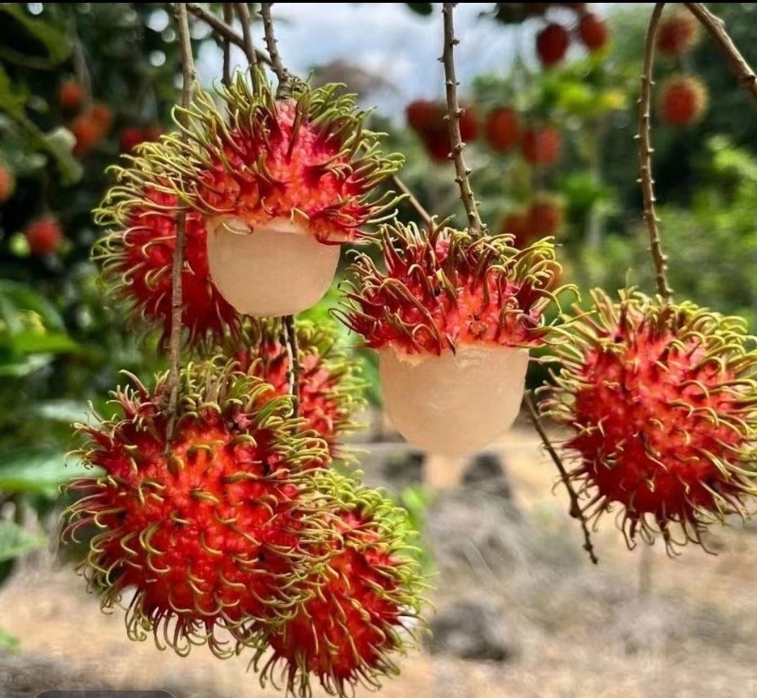 爱心商城