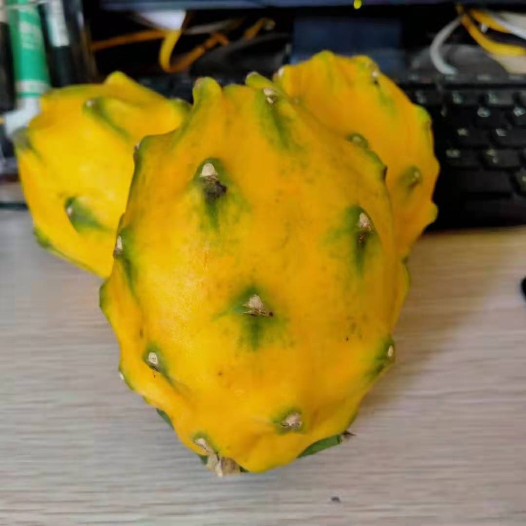 爱心商城