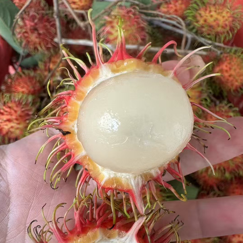 爱心商城