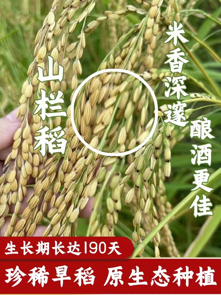 爱心商城