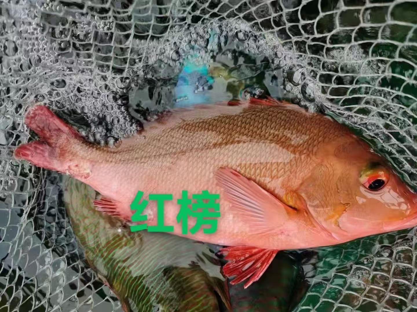 爱心商城
