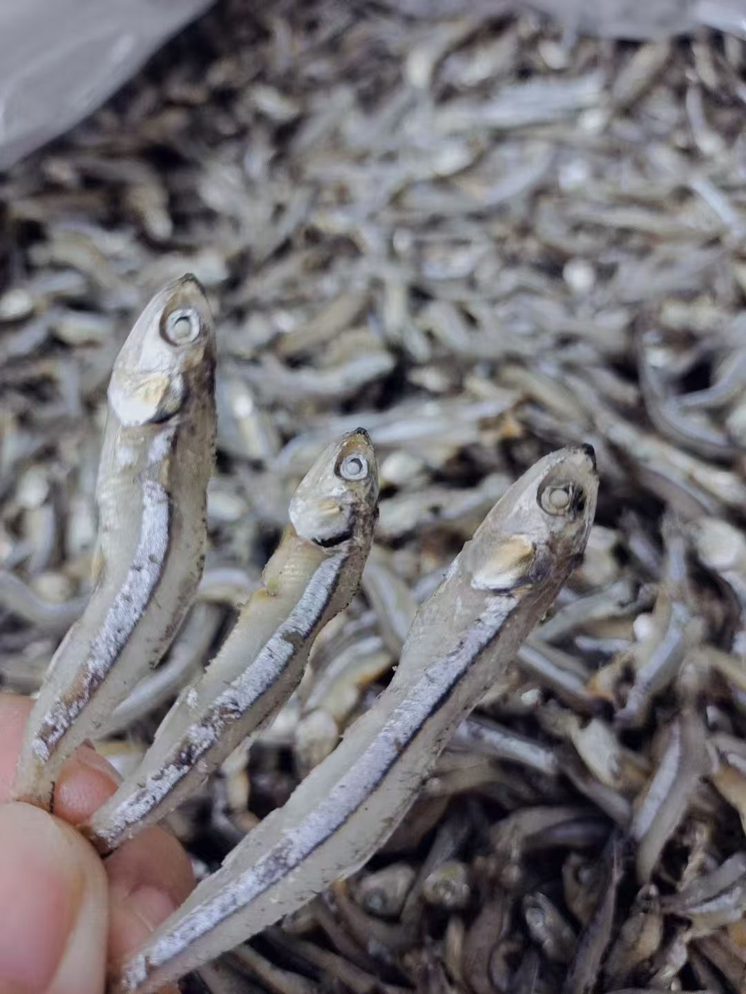 爱心商城