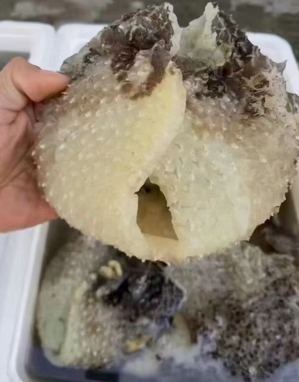 爱心商城