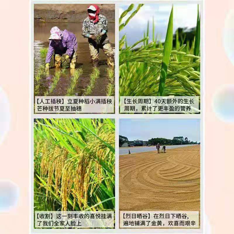 爱心商城
